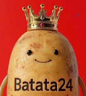 Batata24